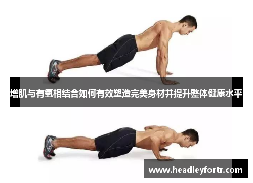增肌与有氧相结合如何有效塑造完美身材并提升整体健康水平