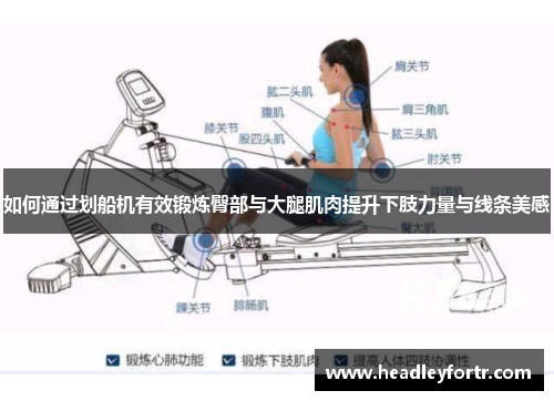 如何通过划船机有效锻炼臀部与大腿肌肉提升下肢力量与线条美感